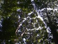 Tn 0207 DSC 5512